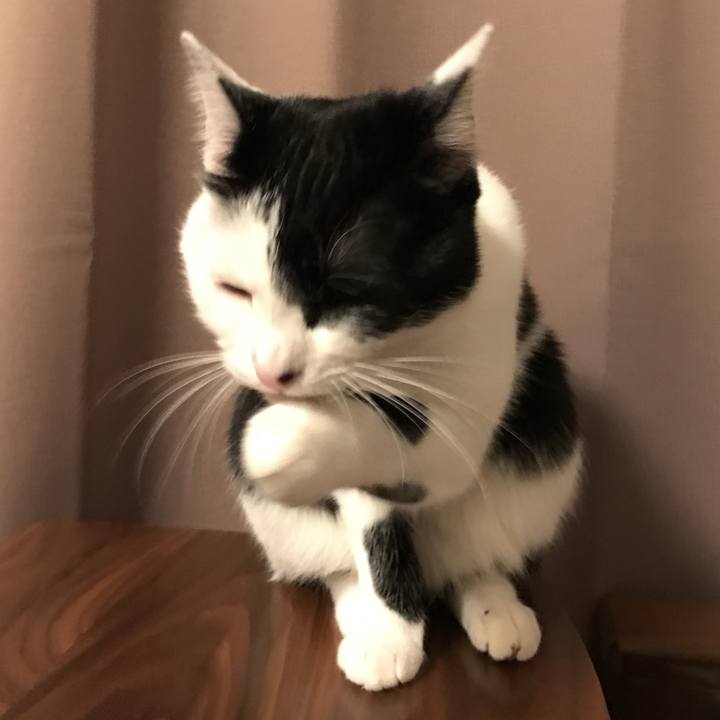 F2b53052 408e 4c3c a32f c3181aedbc5b