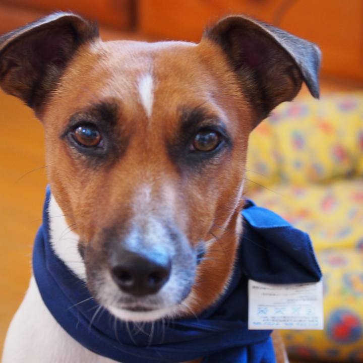 F2b66ba0 89b0 4d95 9354 73886259eebd