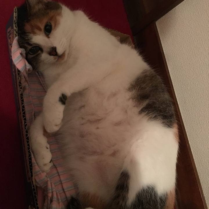 F2b670ea 1c89 4b76 b432 5abf6a50a898