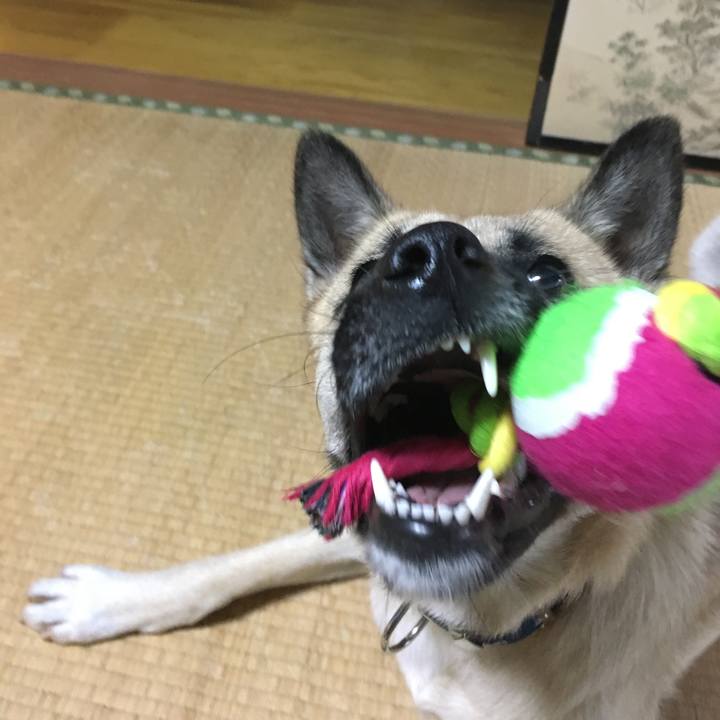 F2b68437 af7f 4fbc 8ddb bfa67a2a6cfc