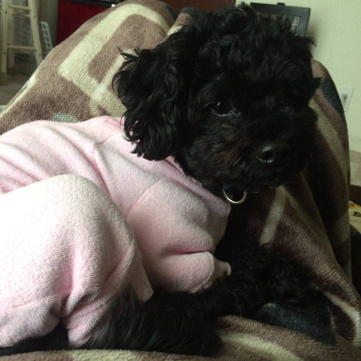 F2b6d252 3a62 4f3e 8222 3112711017b0