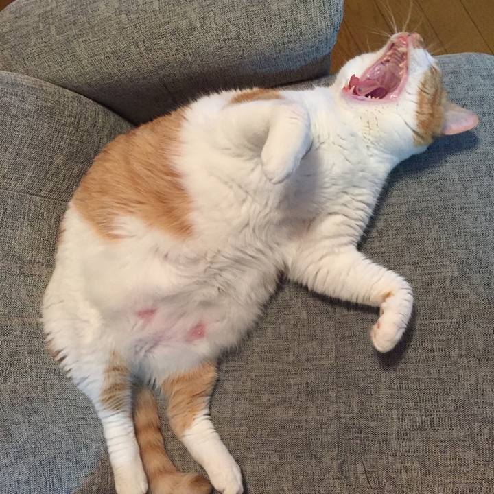 F2b6f441 062e 4e26 8d5c 0bf8df7547b9