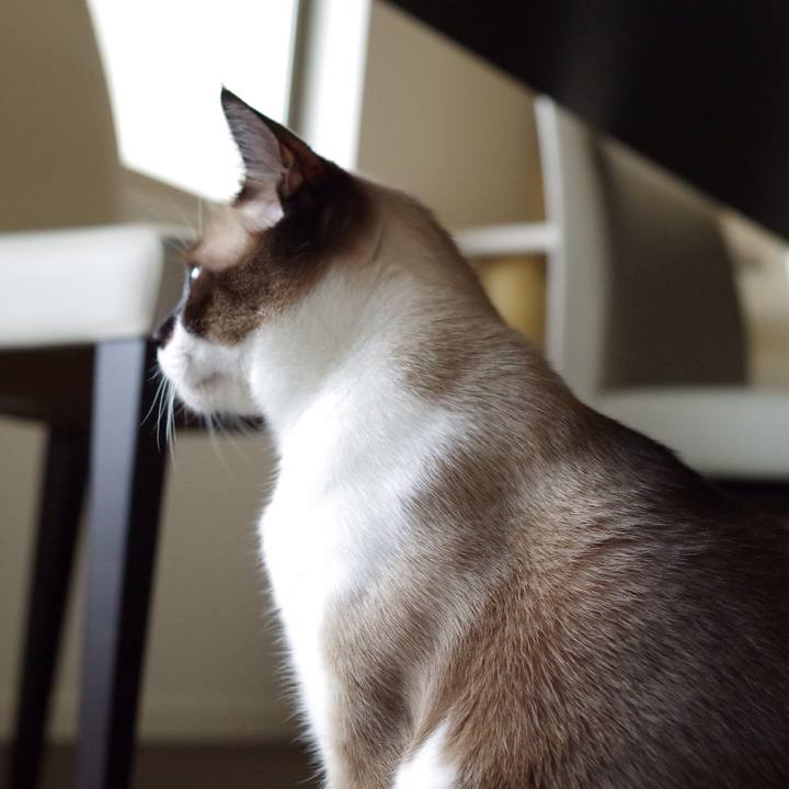 F2b7dcb7 afe1 48fe bb7a 9ab983d5c060