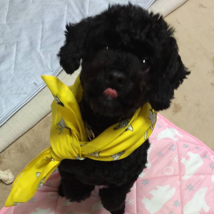 F2b812ff 8261 4e9f 95c9 0f8464b18961