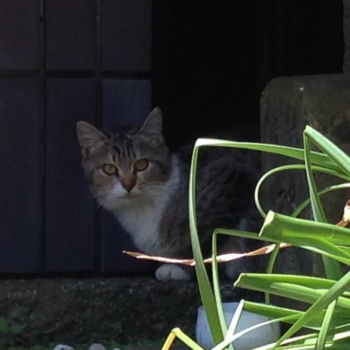 F2b90327 08d6 4b14 9423 6c2390067f98