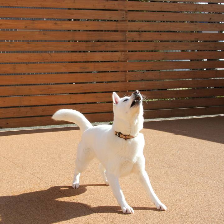 F2b9206d 70ea 4922 9706 cc87650787cf