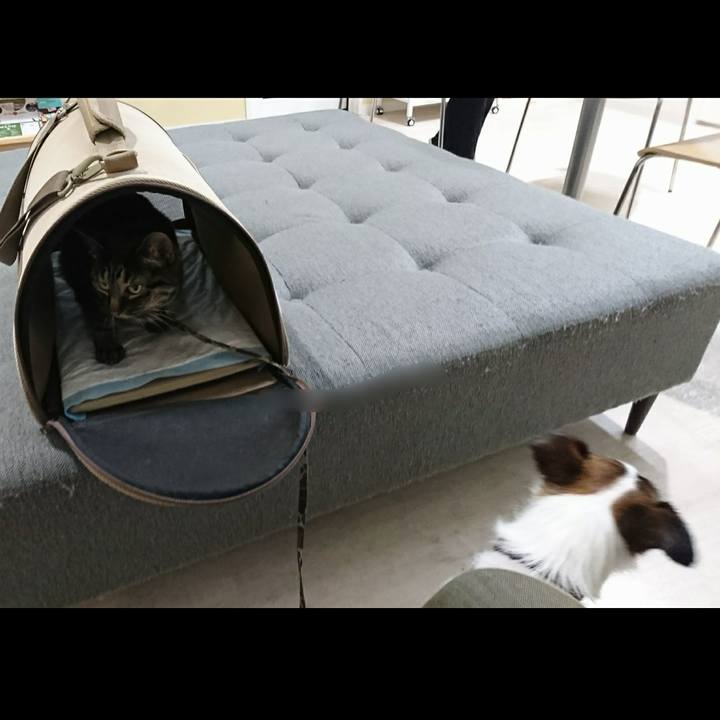 F2b9ca3c 24ec 4b45 b6bf a45fac993e4f