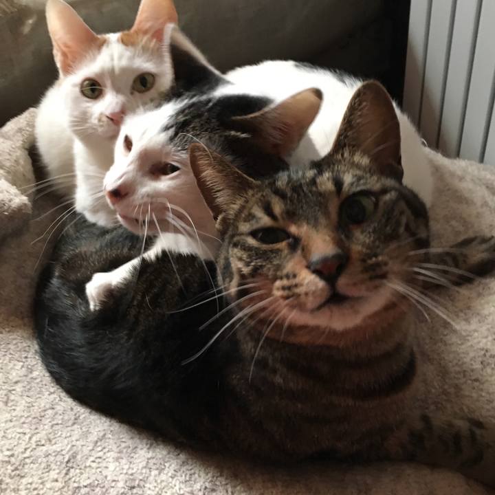 F2ba561b 6c5a 4803 aa8d c2628bfa9dae