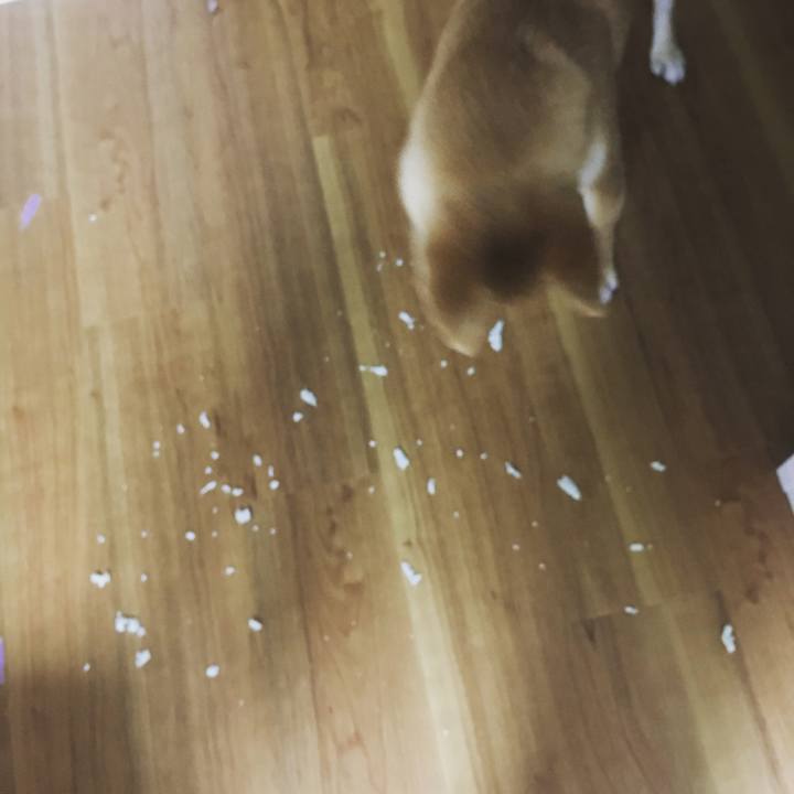 F2bab83b c688 4d0e 8265 aed26ec1a9c2