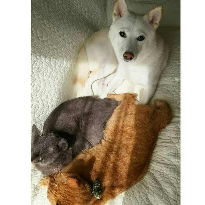 F2baf68c ba46 484b be18 cdd00e4b162b