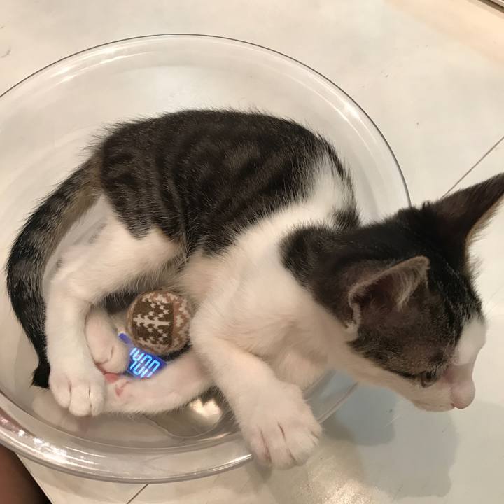 F2bb2893 544a 4e5a 9f98 7bcd779bc7a4