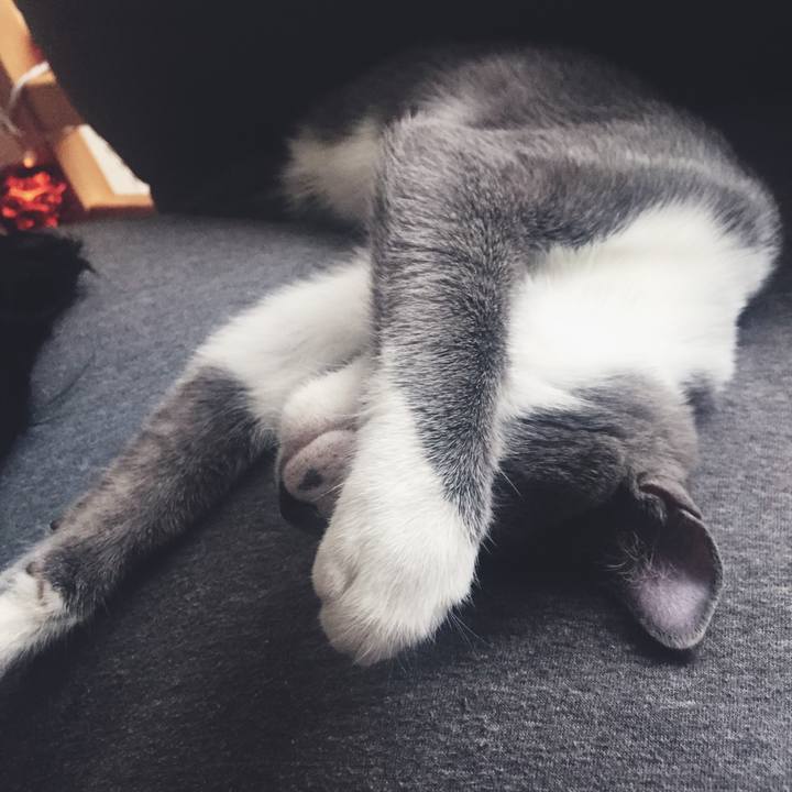 F2bb6ca5 d1c3 4210 a1c1 5a621647a17d