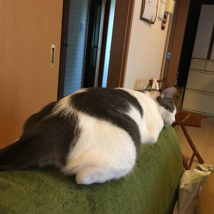 F2bb6fa6 ce1c 4376 9ce1 1a216548fe30