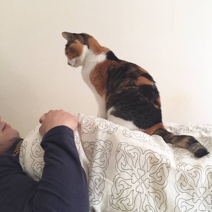 F2bcb1d9 4288 4f3d be61 8001ac247146