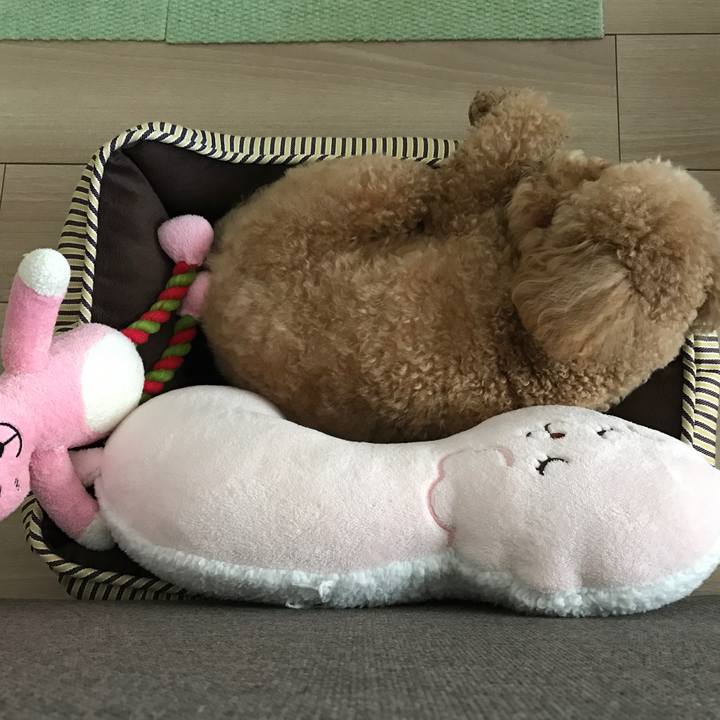 F2bd2b27 ad2c 46f6 b408 7c77575a7b3b