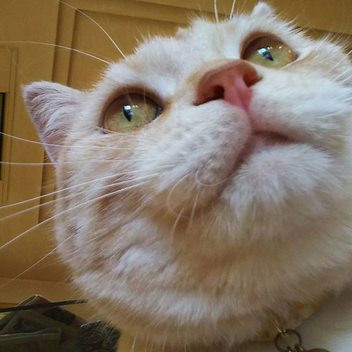 F2bed47e b6ec 491e b806 55a9cc5d3cf7