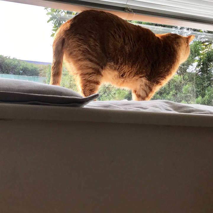 F2bf011c 701d 4137 aeb2 535024dd0d49