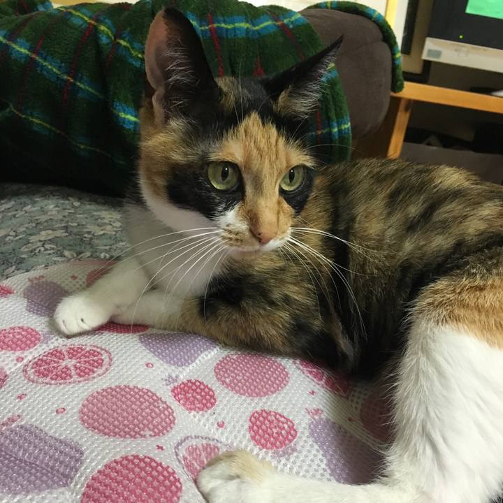 F2bf274d 774f 4bde ba5f 1dc2b379fbde