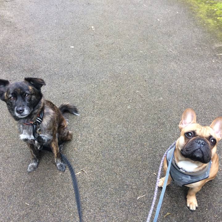 F2bf41fc 4973 4992 bc00 9a77f14ae2e6