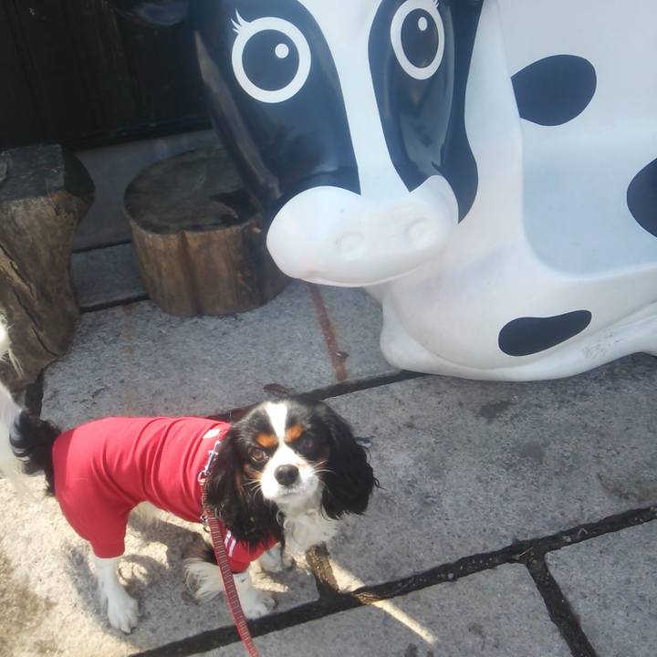 F2bfa31e 45b7 4cf8 8385 7da3e6ddd47c