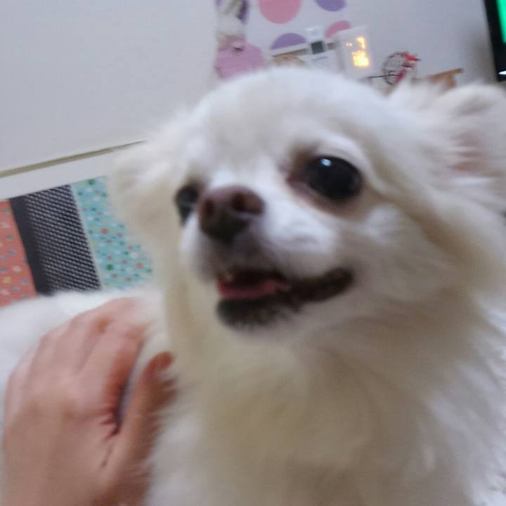 F2c0137b d70e 437d b675 a973027ae9c6