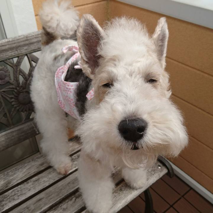 F2c07bb1 d126 4b54 97a3 773aafb230fd