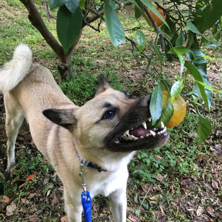 F2c15fd0 f7c4 4913 be17 1777ed349a62