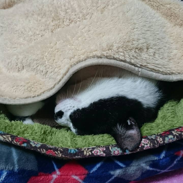 F2c1741b a572 4615 83f4 1b415aa0bf01