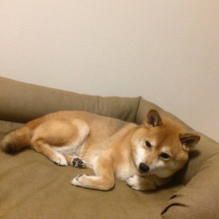 F2c1e62a 5c43 42cf ab2f 0a7bf324b361