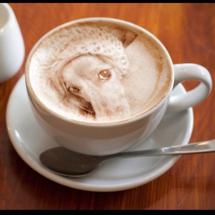 F2c279df f326 4f4c 9743 8e1b2b05cc6b