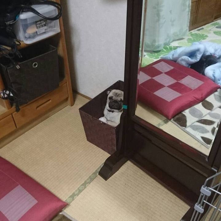 F2c29b0c e6ca 41b9 b57d 6251a3f6064a