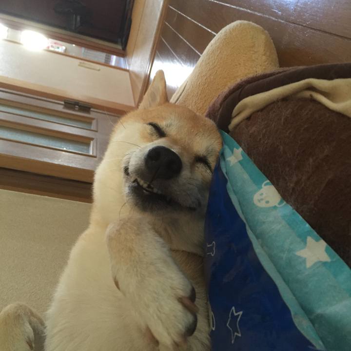 F2c29c40 ea62 4705 8c40 55f3ac8df4d1