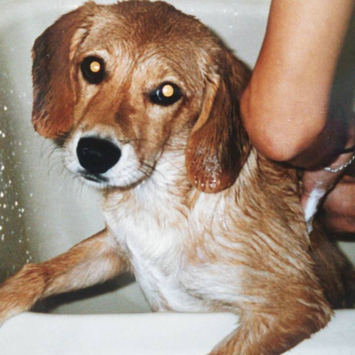 F2c2cffd 61e2 401a 8cf5 c2afd0cd1e26