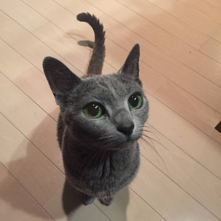 F2c337c3 2abf 43c6 9c16 cb911c0435b6