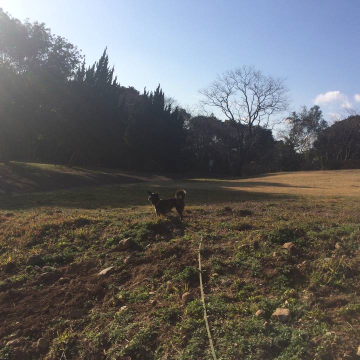 F2c369bf 1f11 4b29 a5d0 93916ee94372