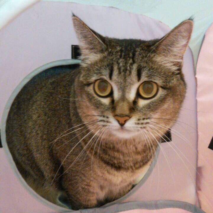 F2c3f906 8787 4981 9456 4f2e9fe0a42a