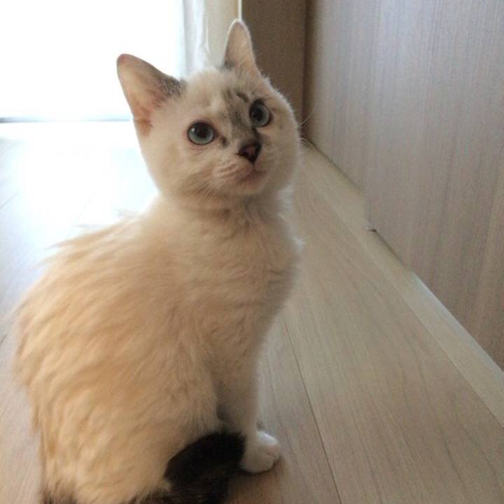 F2c4113b 13b0 4888 b696 7f48871c57f6