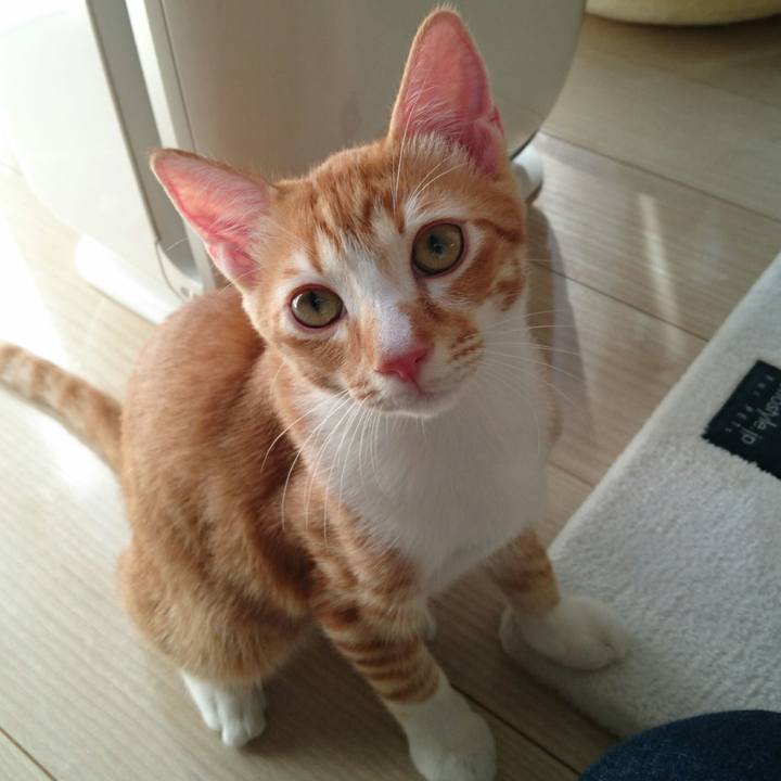 F2c41b3e 7963 476d 92e1 0d88db14dfa1