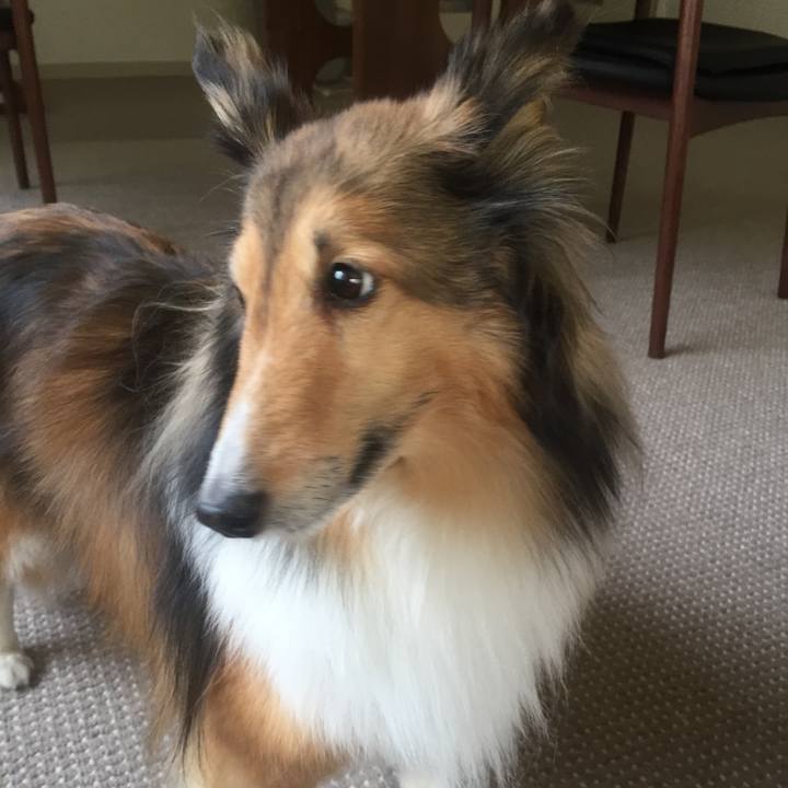 F2c43770 e25d 4b44 a42d 5bdfa84f7ae4