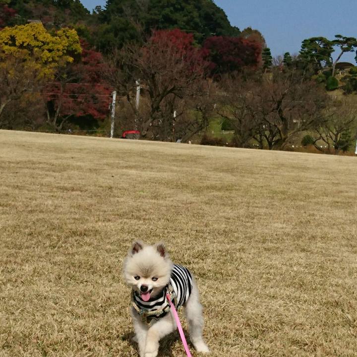 F2c4d9fe 7737 4bc9 8c24 342bfb6f1751