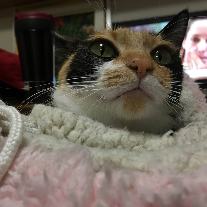 F2c51c02 5b71 4fb9 8103 1f9337dc1f04