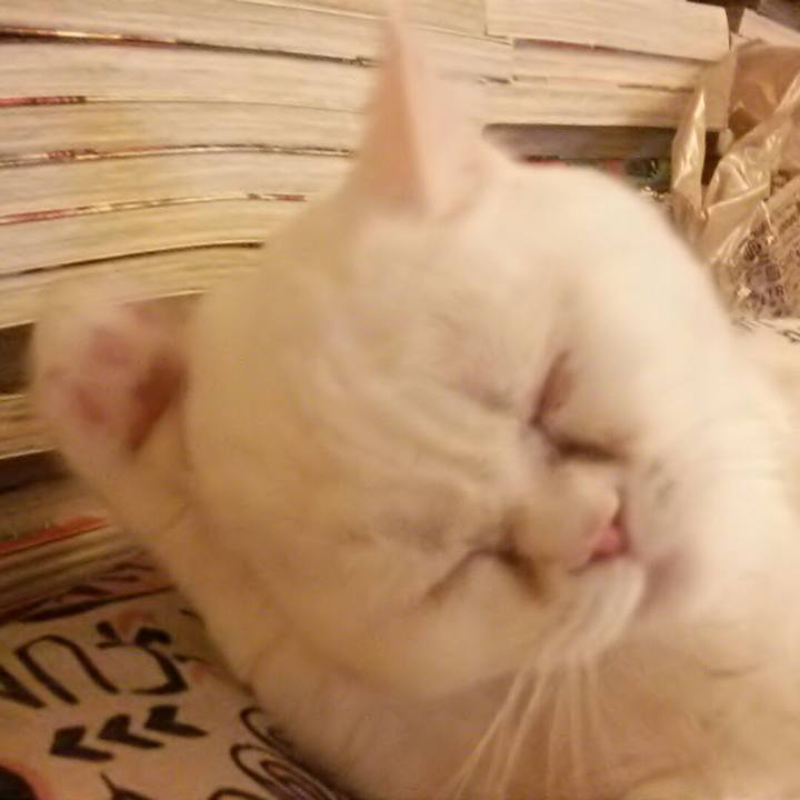 F2c599cd b40d 4f5e bf19 f55faf410f99