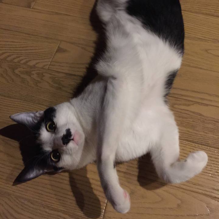 F2c5e29b c2ae 4639 9834 3f2514f79125