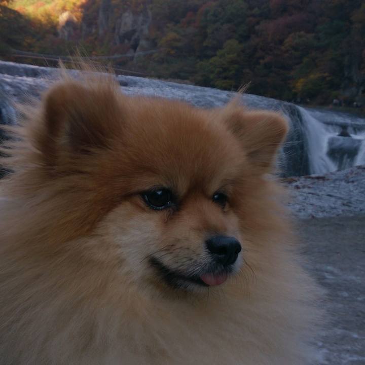 F2c6b8b7 c9ee 45fc 9ebc 39b64fd18bdb