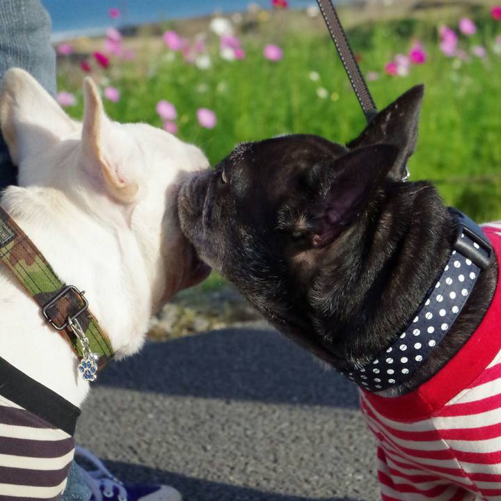 F2c7bc07 17f3 4f6c 80c7 f25b4f21a527