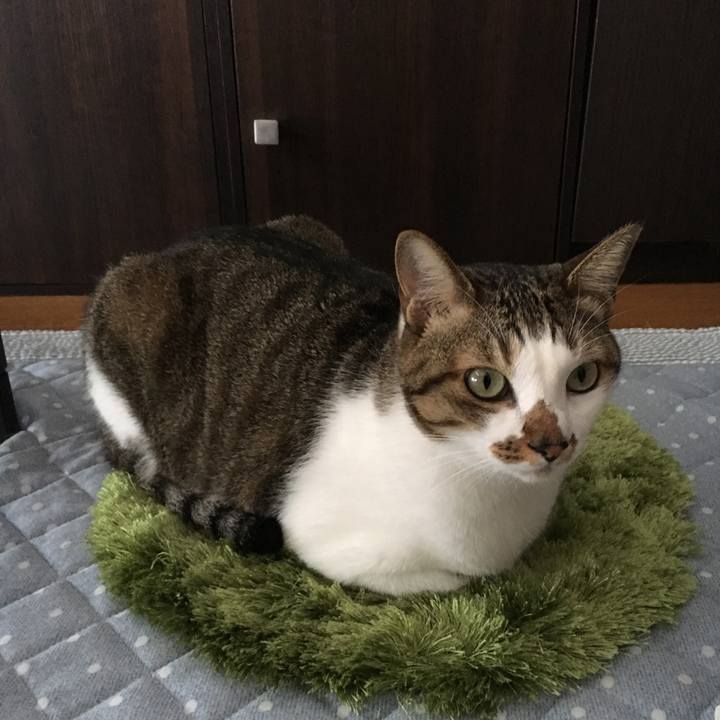 F2c81d4d fa3c 427d 92a3 028cc8d18c23