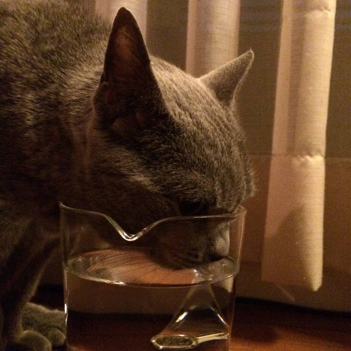 F2c82e68 eab7 4fb8 8a1a 0d98edba9e4e