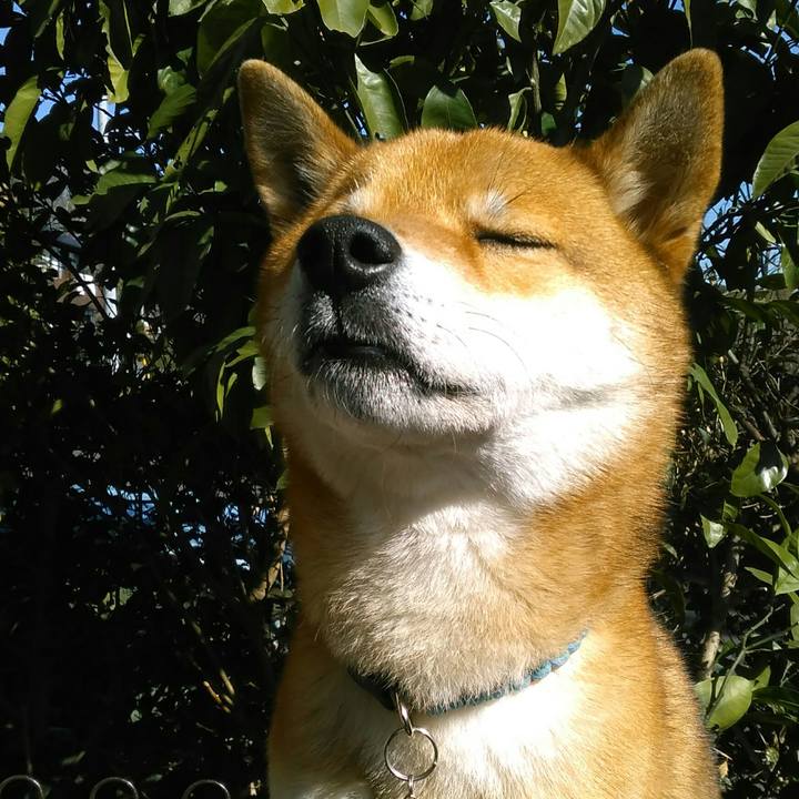 F2c8340b a888 4770 8831 6aea8a158baa