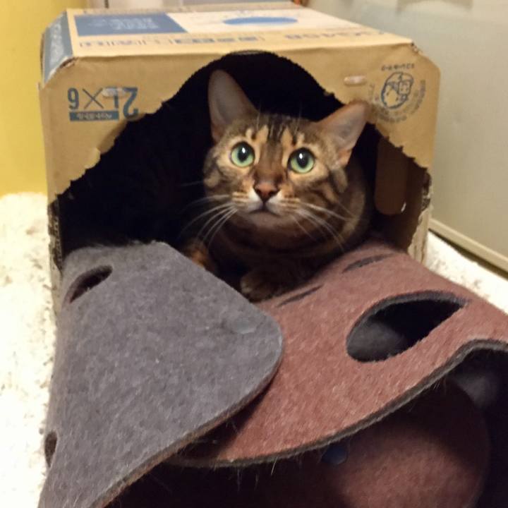 F2c9609d 9b55 43a2 9ccc 7af493e46d8c