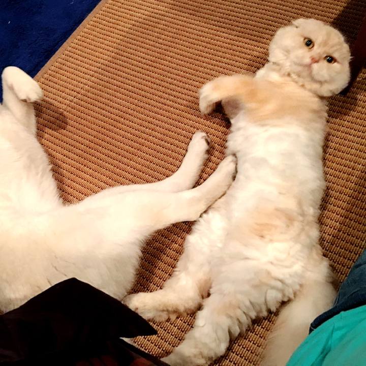 F2c966dc 8427 4fe6 88c3 378519f00e7e